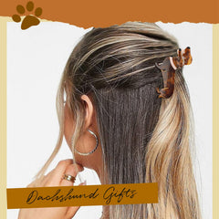 Hapdoo arranged gift box presenting ready-to-give dachshund accessories