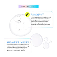 HASK argan oil drop close-up highlighting nourishing ingredient benefits