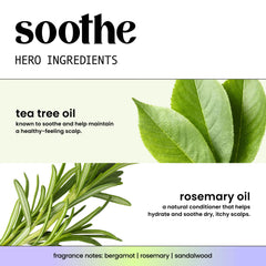 HASK close-up of ingredient label highlighting tea tree and rosemary benefits
