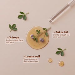 Hearthical ingredients flatlay with jojoba and sea buckthorn for antioxidants