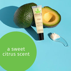 Hempz texture close-up of balm surface highlighting smooth moisturizing finish