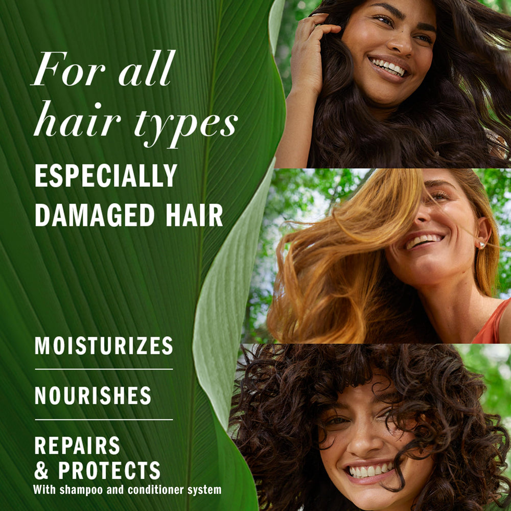 Herbal Essences back label with ingredients and usage benefits