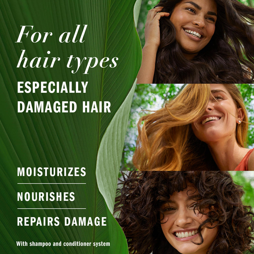 Herbal Essences label close-up highlighting ingredient claims and clean formulation benefits