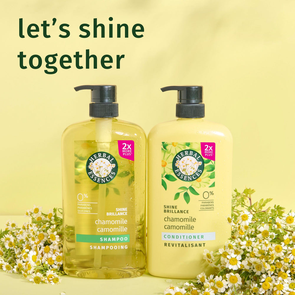 Herbal Essences bottle beside common toiletries to illustrate large 33.8 fl oz scale