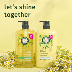 Herbal Essences bottle beside common toiletries to illustrate large 33.8 fl oz scale