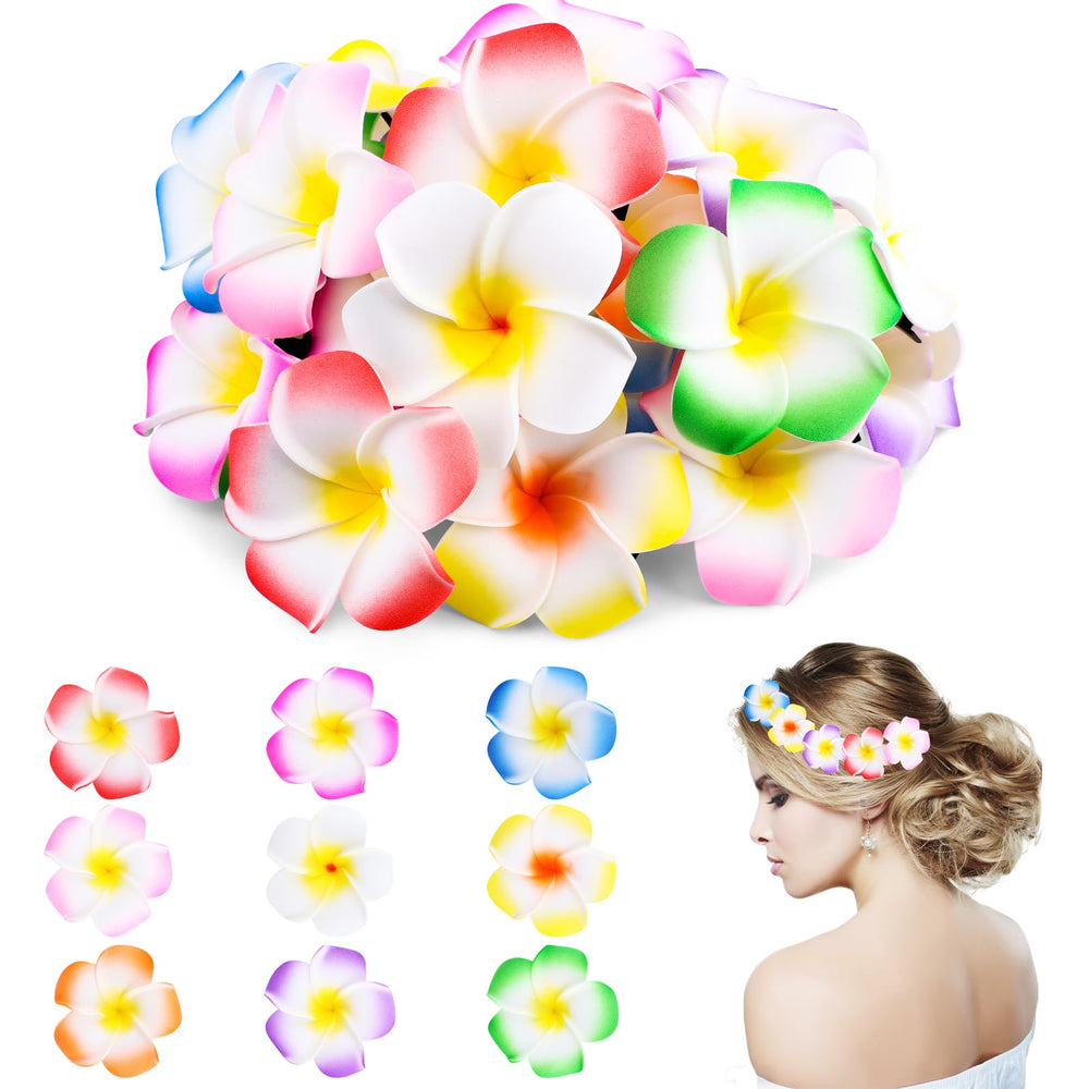 HOFASON front-packaging showing 27 colorful plumeria clips for parties