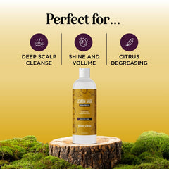 HONEYDEW keratin and tea tree ingredient flatlay indicating nourishment
