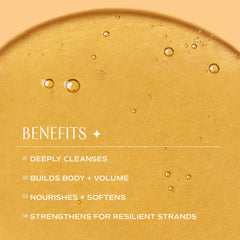 INNERSENSE quinoa and rice extracts display showing natural proteins and volumizing benefit