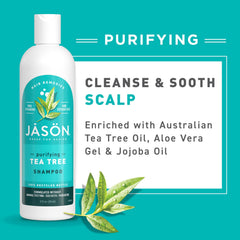 JASON tea tree leaves close-up showing natural purifying ingredient