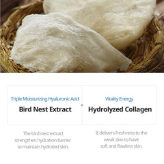 JMsolution swiftlet nest ingredient display emphasizing nourishing extract