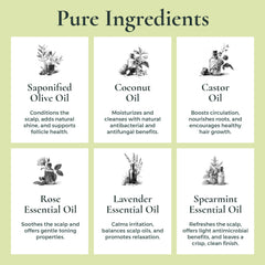 J·R·LIGGETT'S bar producing lather to show effective rinsing