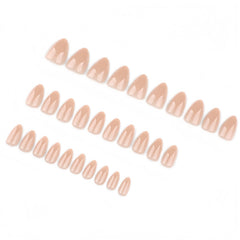 KQueenest top view layout showing uniform almond shape for a natural polished look