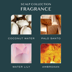 Kristin Ess label detail showing key ingredients and clean formulation benefits