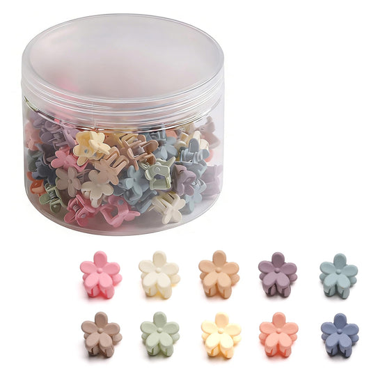 Lahnie front packaging showing 100 mini flower clips and colorful variety