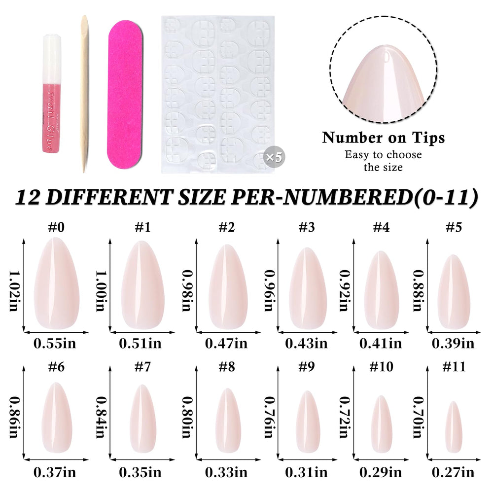 Lifextol nails beside ruler for scale showing medium length suitability and everyday comfort