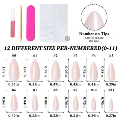 Lifextol nails beside ruler for scale showing medium length suitability and everyday comfort