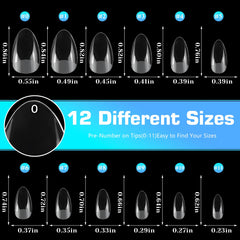 Lifextol organized 12 sizes display for precise fit and reduced filing