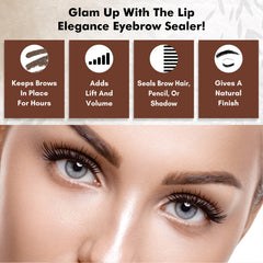 Lip Elegance applied on model brows showing natural hold and smudge-resistant benefit