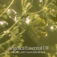 L'Occitane shampoo lather texture showing rich foam that cleanses while protecting hair fibers
