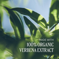 L'OCCITANE applying lotion to hands illustrating immediate softening benefit