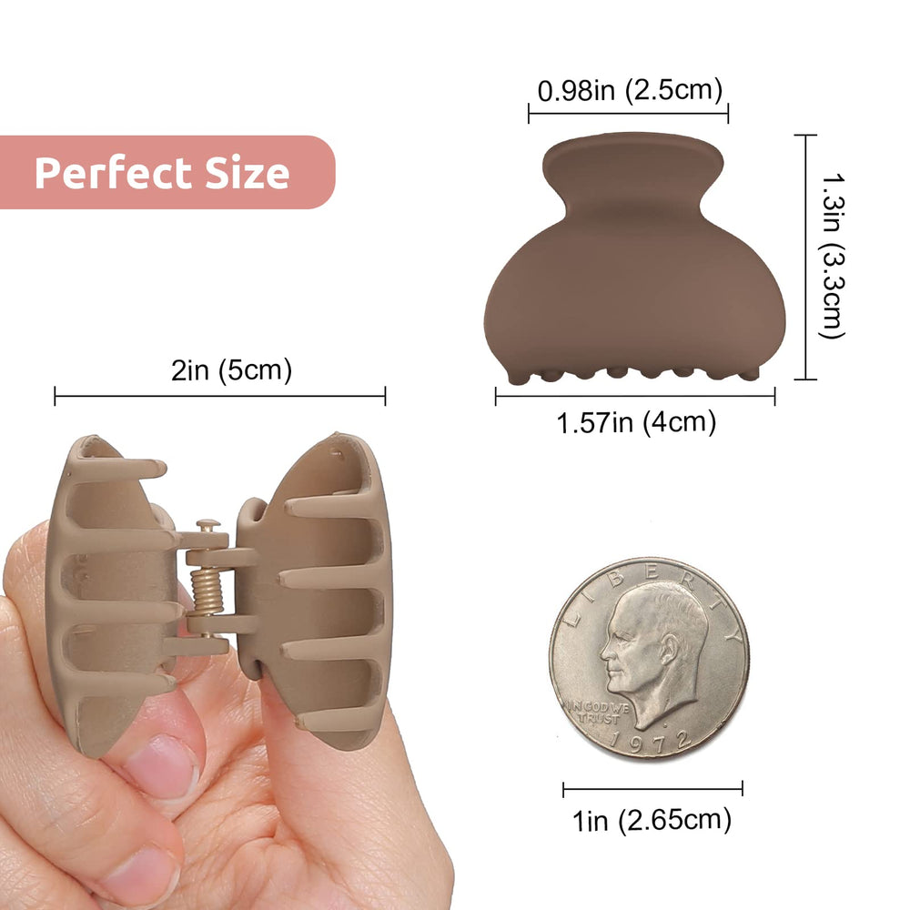 Lolalet clip beside a 3 dollar coin for size comparison and accurate scale