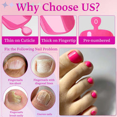 LoveOurHome toenail next to a coin to show scale and selection for proper sizing