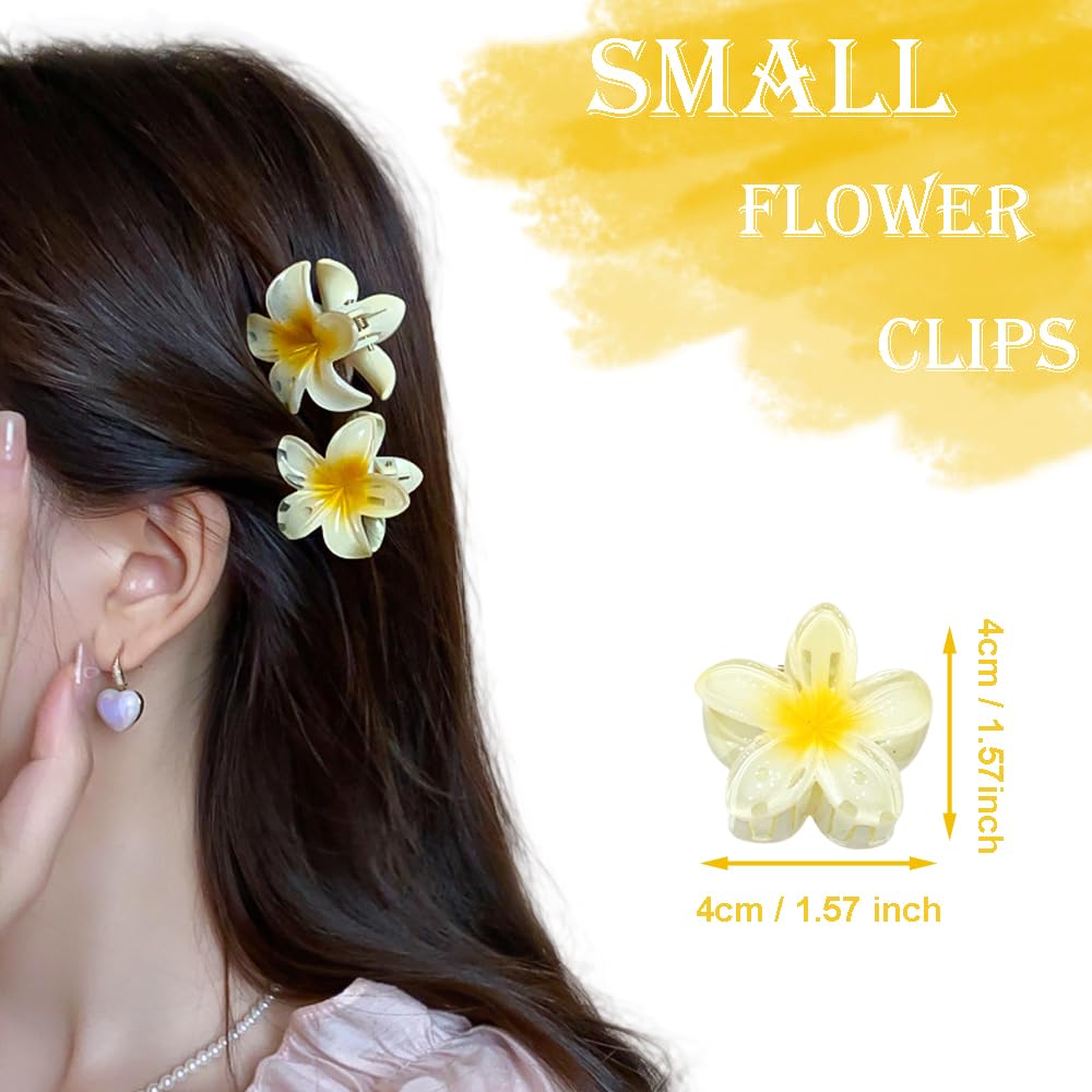 LTFCFZQ close-up of plumeria flower clip detail showing smooth edges and secure grip