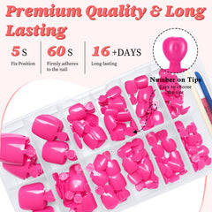 luckforever open case with 12-size layout, organized sizing for perfect fit