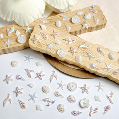 LYLYNB clear view of contents and shapes to plan nail designs