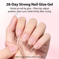 Makartt cured nail apex illustrating natural C-curve and professional finish benefit