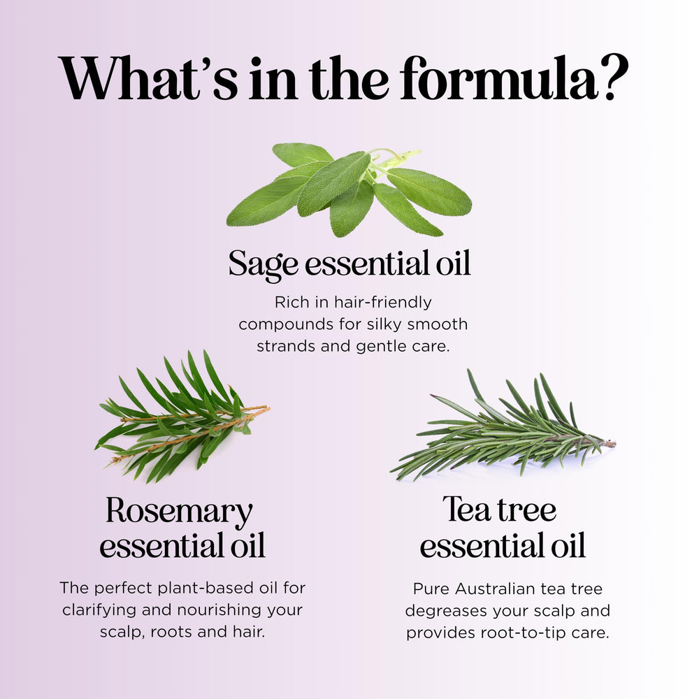 Maple Holistics hands lathering shampoo demonstrating effective cleansing