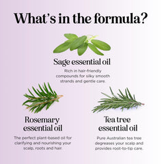 Maple Holistics hands lathering shampoo demonstrating effective cleansing