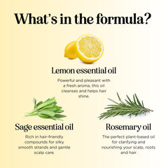 Maple Holistics shampoo poured on palm illustrating easy application and spread