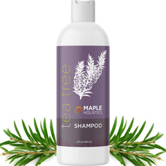 Maple Holistics front bottle view showing clean packaging and benefits