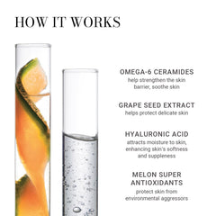 Meaningful Beauty cream next to passport showing travel-ready 0.5 oz convenience