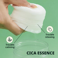 META FORET pads arranged on counter showing convenient single-use