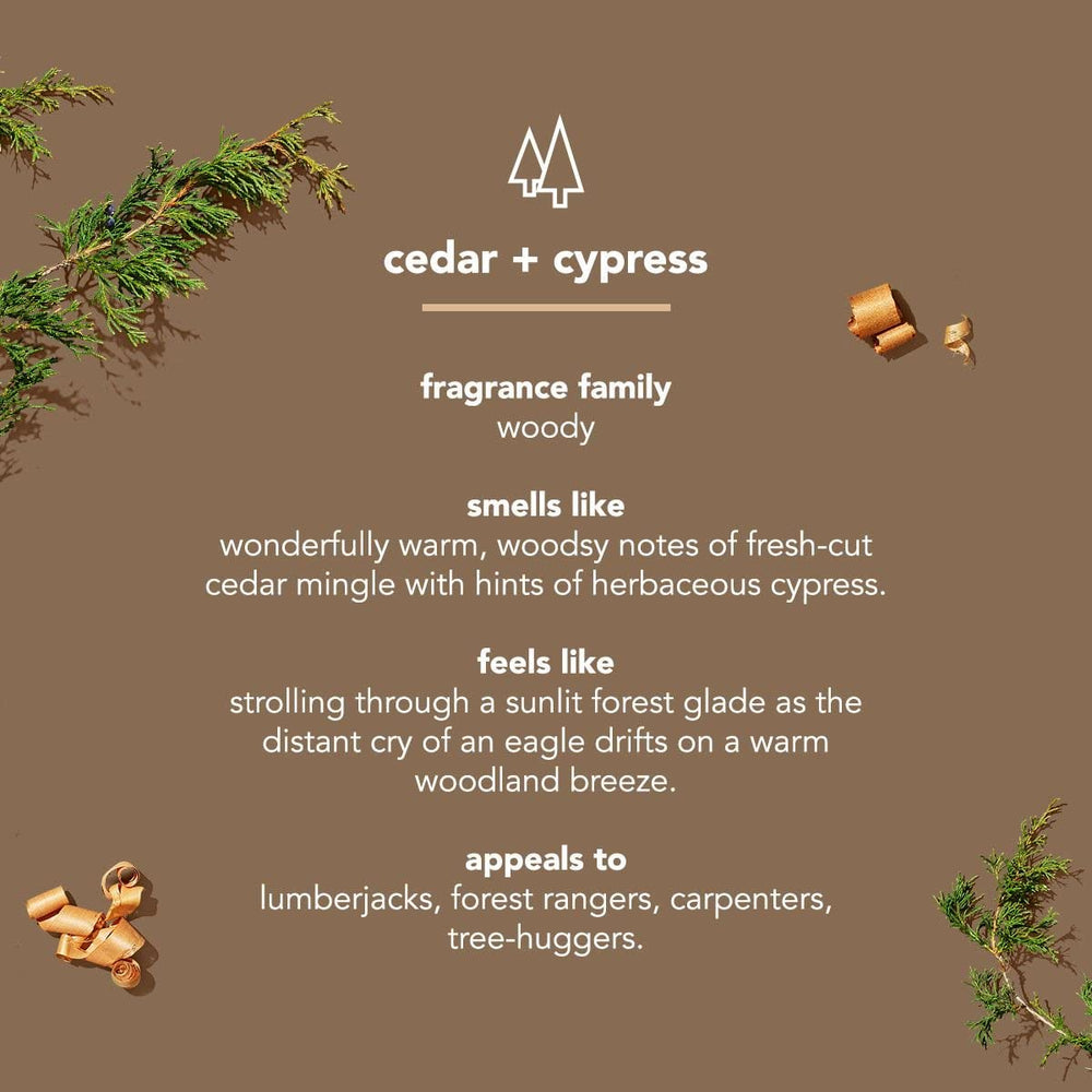 Method cedar & cypress in-shower lifestyle image showing easy daily use