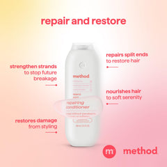 Close-up of ceramide olive and castor seed ingredients highlighting restorative benefits