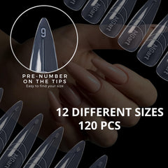 MGART array of 12 sizes displayed to choose perfect fit for any nail