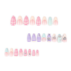 Mivota 24-piece layout with assorted sizes visible for a perfect personalized fit