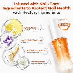 modelones label and ingredient panel showing transparent product information benefit