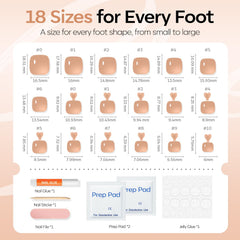 modelones size display of 18 sizes ensuring precise toe fit