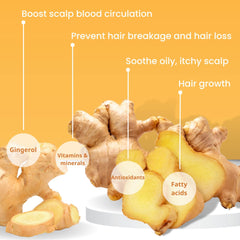 Muun conditioner bar close-up showing smooth finish for easier application and detangling