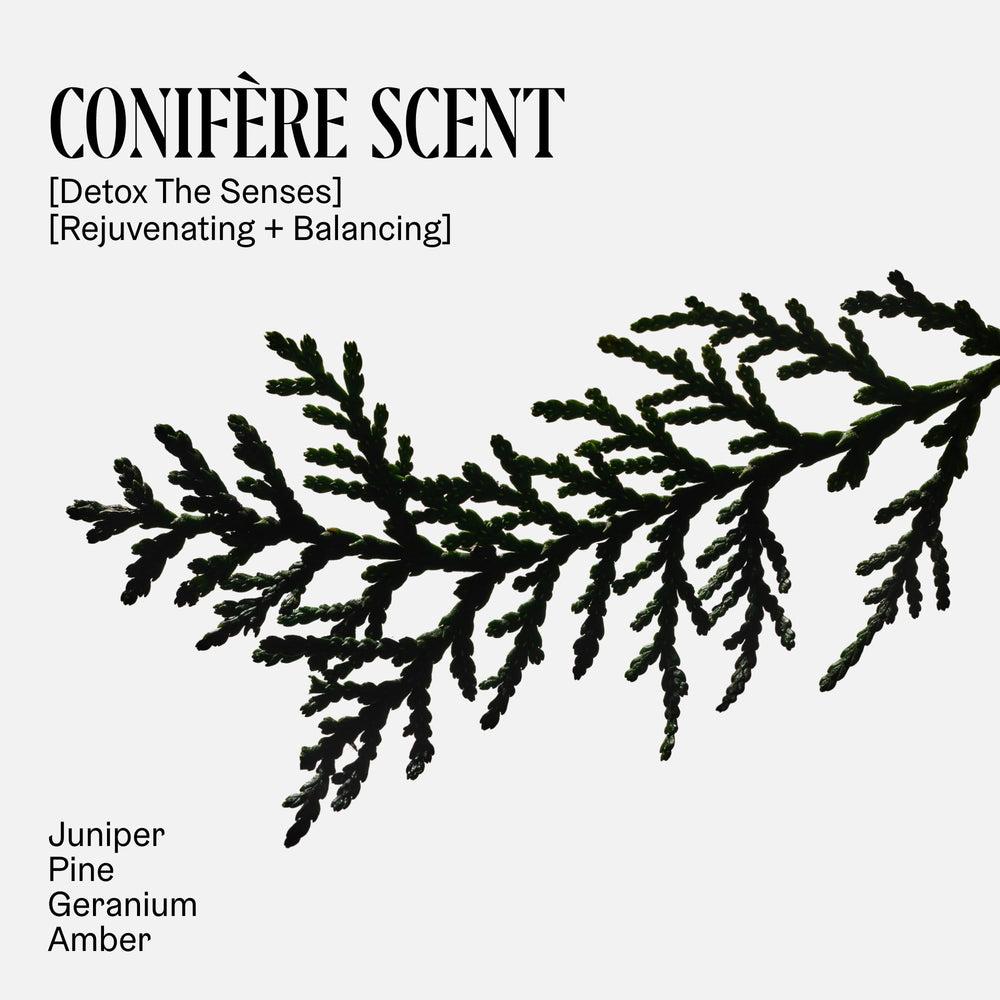 Nécessaire pine branch representing conifère scent for a refreshing feel
