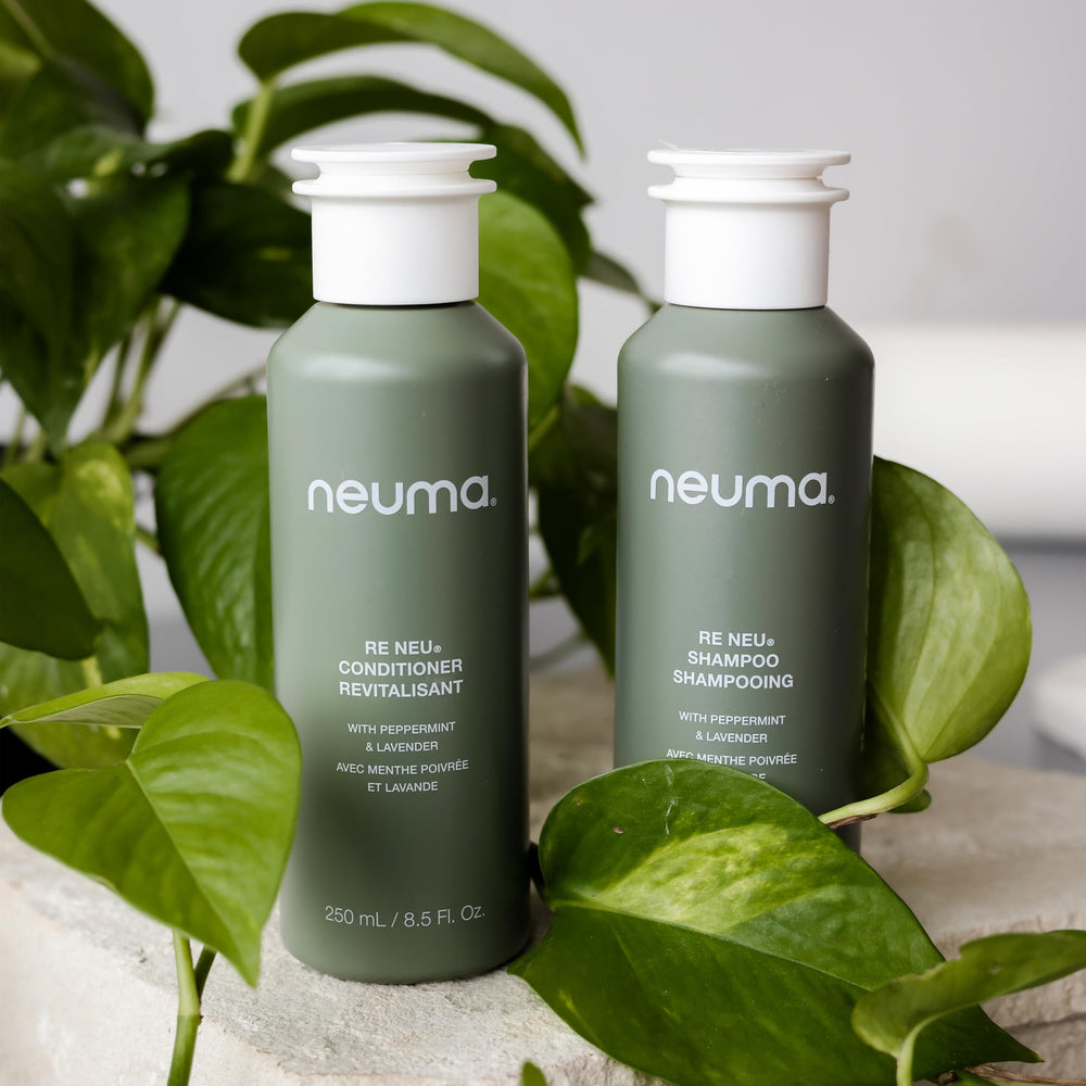 Neuma color-safe swatches showing preserved vibrant hair tones