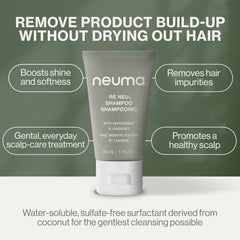 NEUMA sunflower seed oil droplet emphasizing hair protection