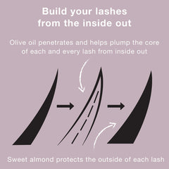 Neutrogena before-and-after lashes highlighting fuller conditioned effect
