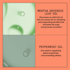 Nioxin conditioner applied to wet hair for detangling and smoothing benefits