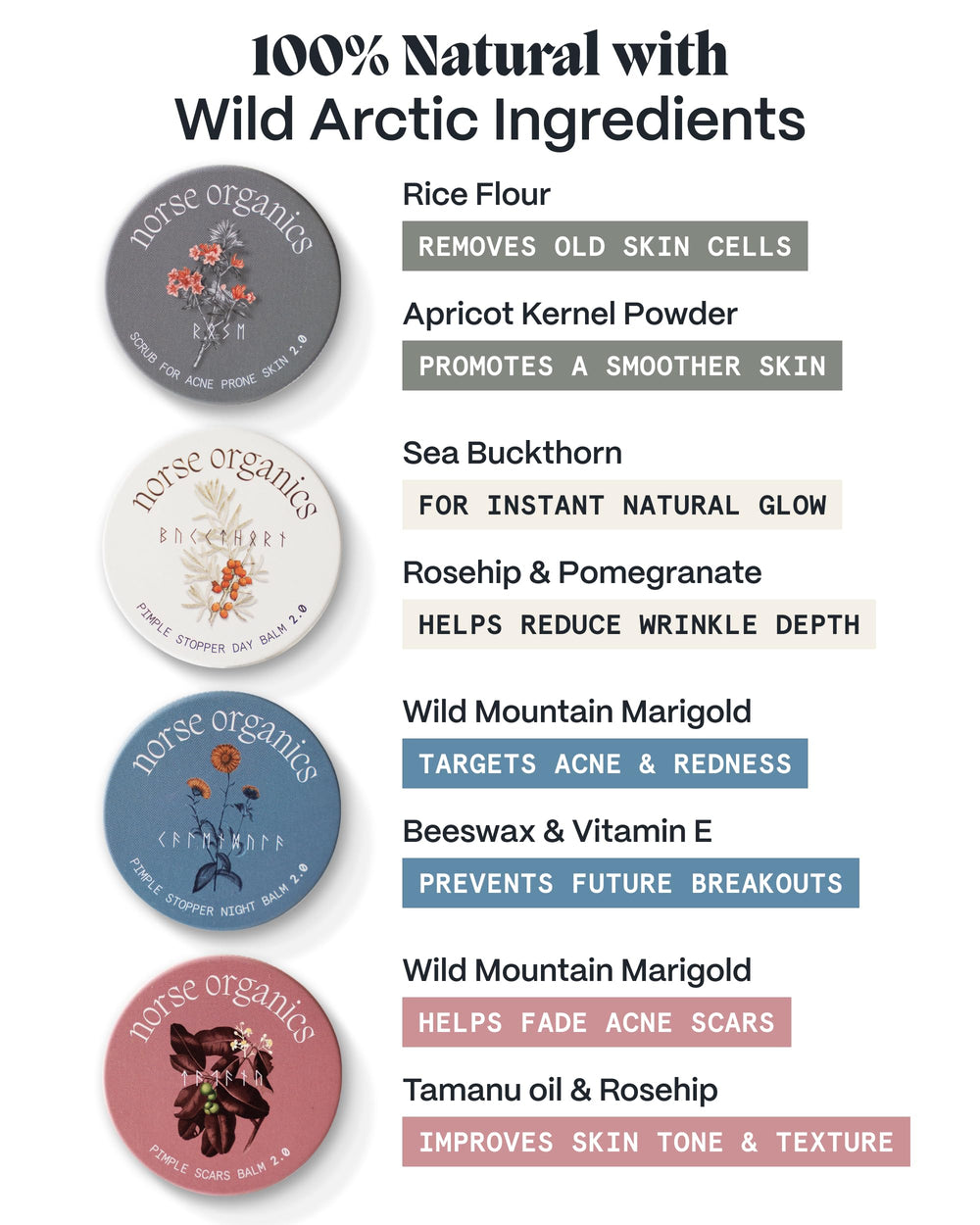 Norse Organics Powder Scrub in palm mixed with water for gentle exfoliation