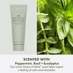 Origins Ginger tube positioned with meadowfoam seeds showing botanical conditioning benefits